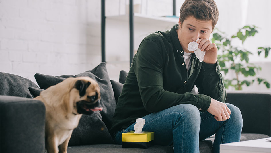 Installing an air purifier is one of the wisest approaches to boost your residence’s indoor air quality. Find out more about the three top products. 